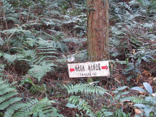 登山道